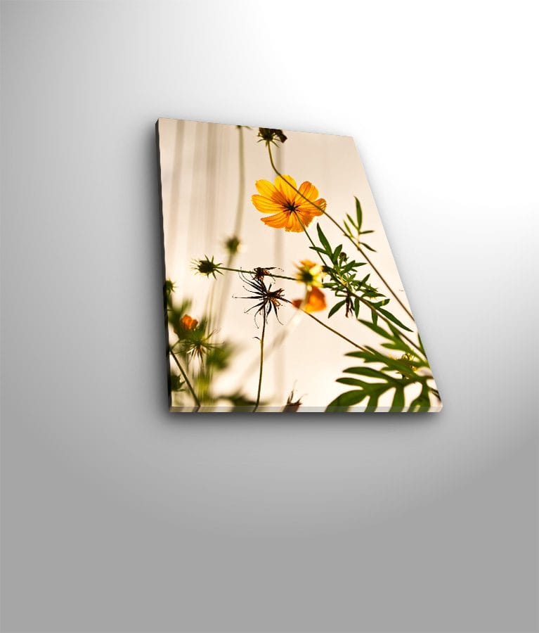 Dekorativ Canvastavla 28x38 cm - Flerfärgad - Inredning & dekor - Tavlor & konst - Canvastavla