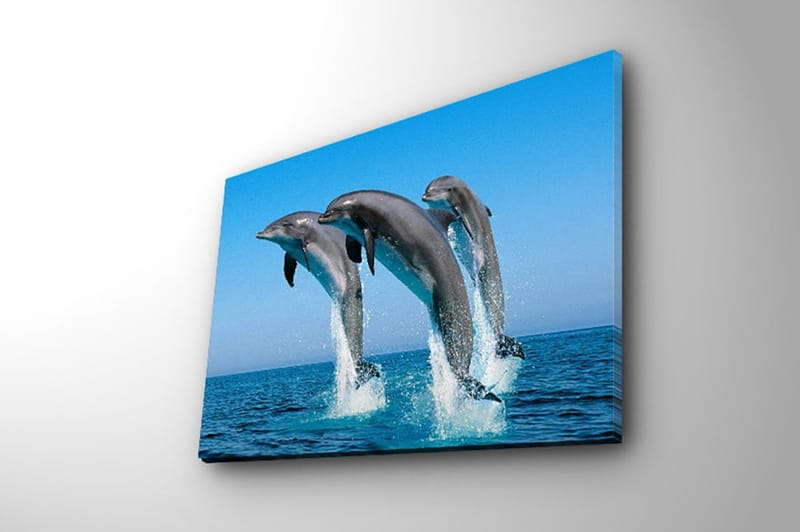 Dekorativ Canvastavla 28x38 cm - Flerfärgad - Inredning & dekor - Tavlor & konst - Canvastavla