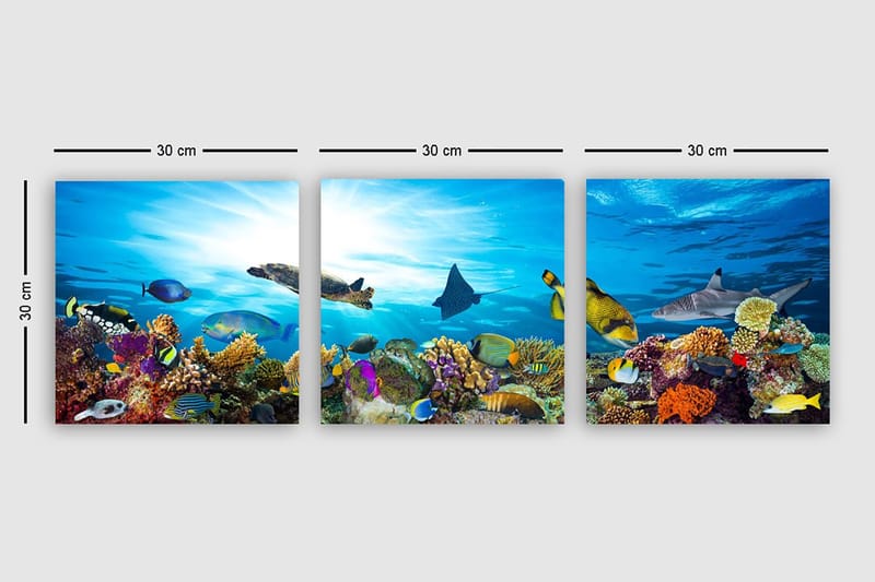 Dekorativ Canvastavla 3-Delar 30x30 cm - Flerfärgad - Inredning & dekor - Tavlor & konst - Canvastavla