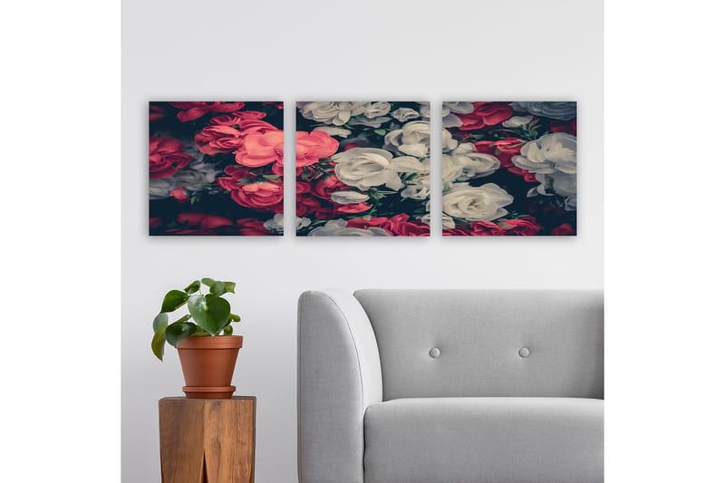 Dekorativ Canvastavla 3-Delar 30x30 cm, Flerfärgad