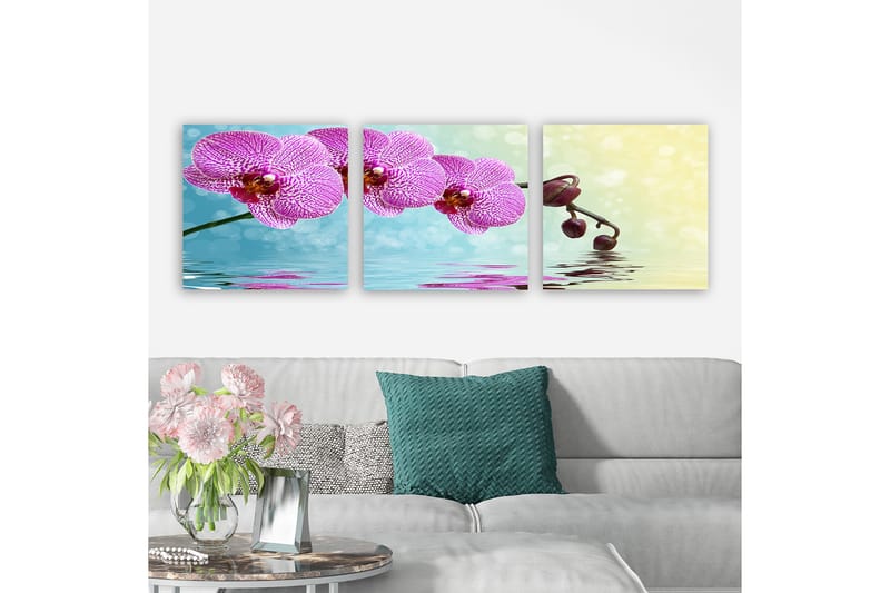 DEKORATIV CANVASTAVLA 3-Delar 30x30 cm Flerfärgad - Inredning & dekor - Tavlor & konst - Canvastavla