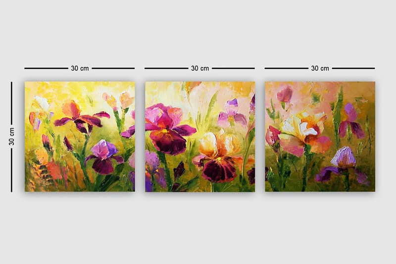 DEKORATIV CANVASTAVLA 3-Delar 30x30 cm Flerfärgad - Inredning & dekor - Tavlor & konst - Canvastavla