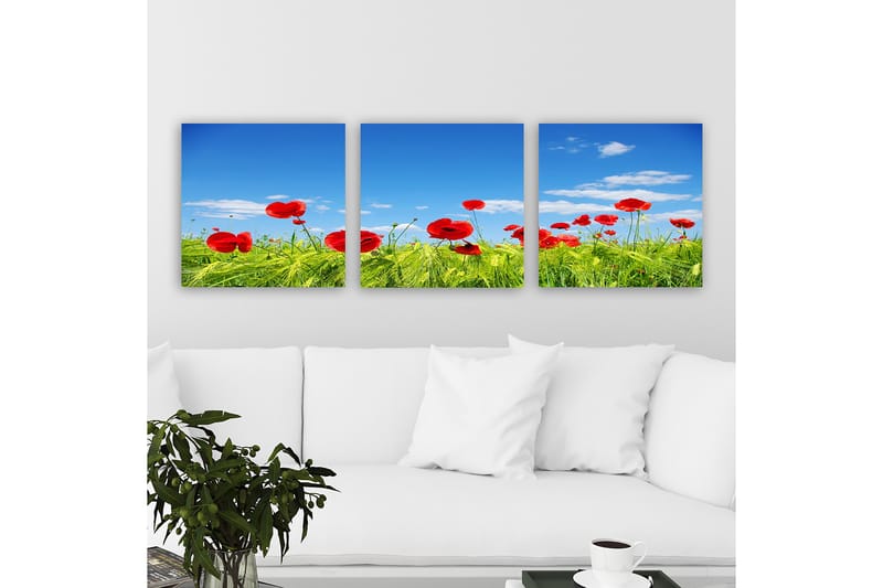 DEKORATIV CANVASTAVLA 3-Delar 30x30 cm Flerfärgad - Inredning & dekor - Tavlor & konst - Canvastavla