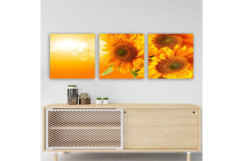 DEKORATIV CANVASTAVLA 3-Delar 30x30 cm Flerfärgad - Inredning & dekor - Tavlor & konst - Canvastavla