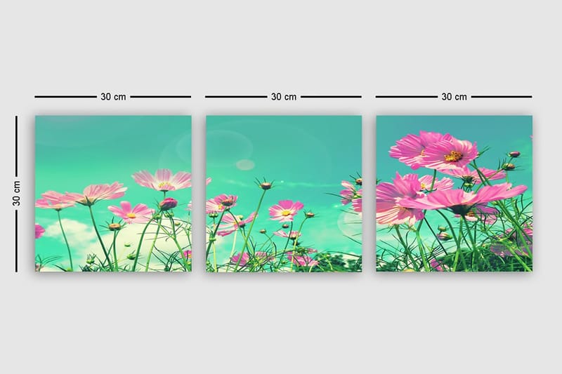 Dekorativ Canvastavla 3-Delar 30x30 cm - Flerfärgad - Inredning & dekor - Tavlor & konst - Canvastavla