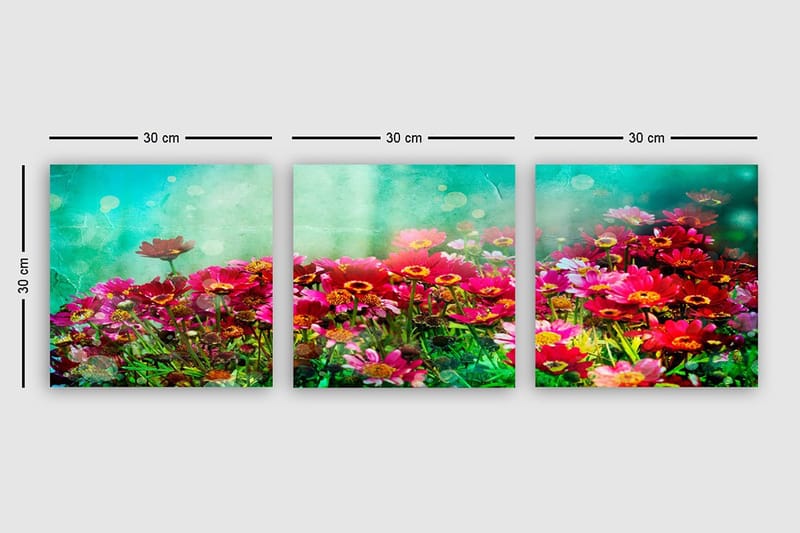 Dekorativ Canvastavla 3-Delar 30x30 cm - Flerfärgad - Inredning & dekor - Tavlor & konst - Canvastavla