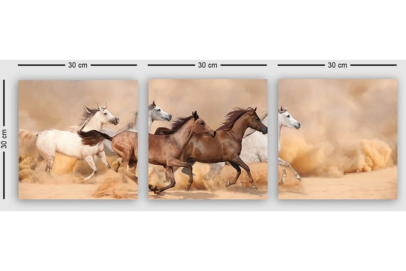 Dekorativ Canvastavla 3-Delar 30x30 cm - Flerfärgad - Inredning & dekor - Tavlor & konst - Canvastavla