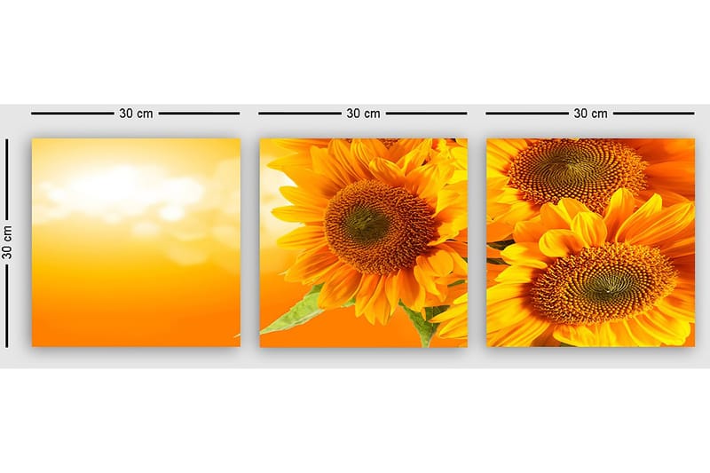 Dekorativ Canvastavla 3-Delar 30x30 cm - Flerfärgad - Inredning & dekor - Tavlor & konst - Canvastavla