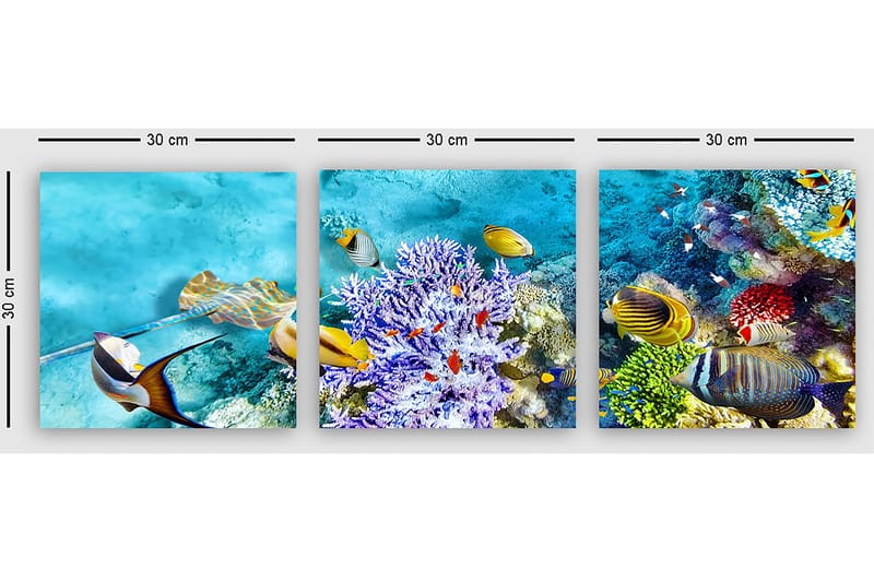 Dekorativ Canvastavla 3-Delar 30x30 cm - Flerfärgad - Inredning & dekor - Tavlor & konst - Canvastavla