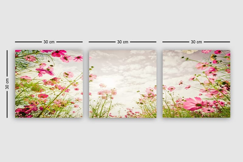 Dekorativ Canvastavla 3-Delar 30x30 cm - Flerfärgad - Inredning & dekor - Tavlor & konst - Canvastavla