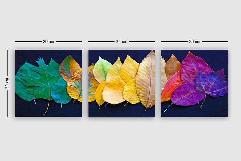 Dekorativ Canvastavla 3-Delar 30x30 cm - Flerfärgad - Inredning & dekor - Tavlor & konst - Canvastavla