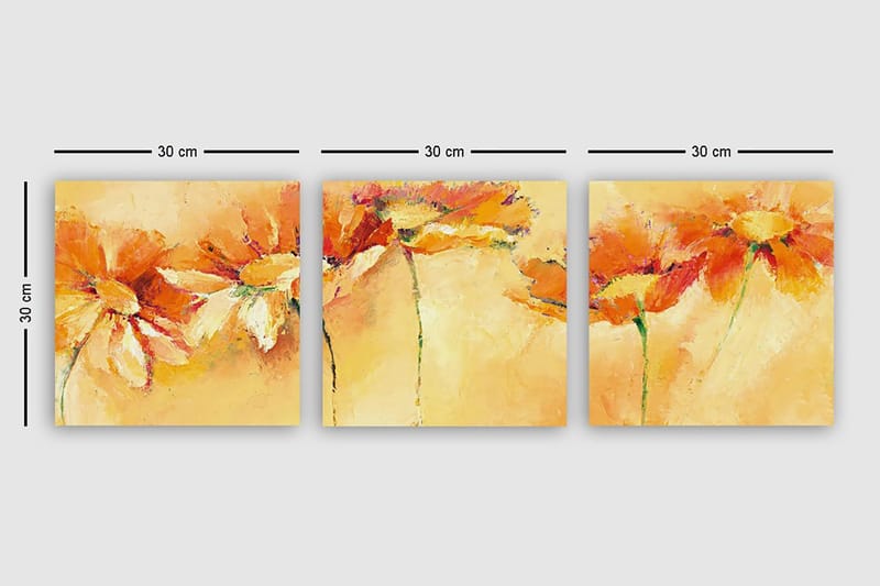 Dekorativ Canvastavla 3-Delar 30x30 cm - Flerfärgad - Inredning & dekor - Tavlor & konst - Canvastavla