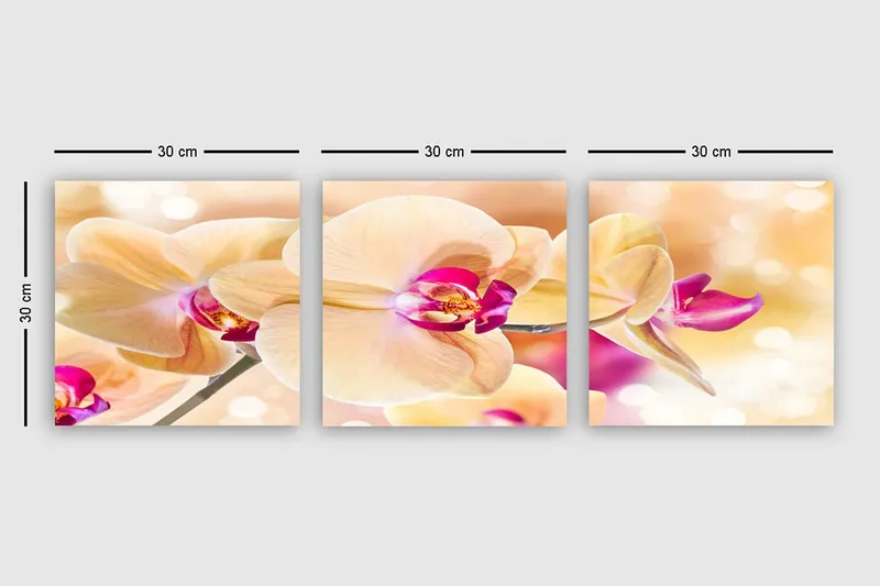 Dekorativ Canvastavla 3-Delar 30x30 cm - Flerfärgad - Inredning & dekor - Tavlor & konst - Canvastavla