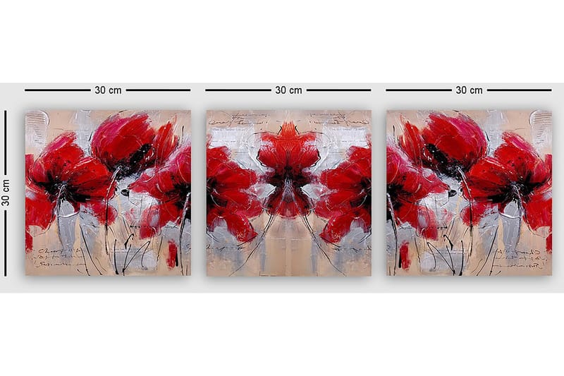 Dekorativ Canvastavla 3-Delar 30x30 cm - Flerfärgad - Inredning & dekor - Tavlor & konst - Canvastavla