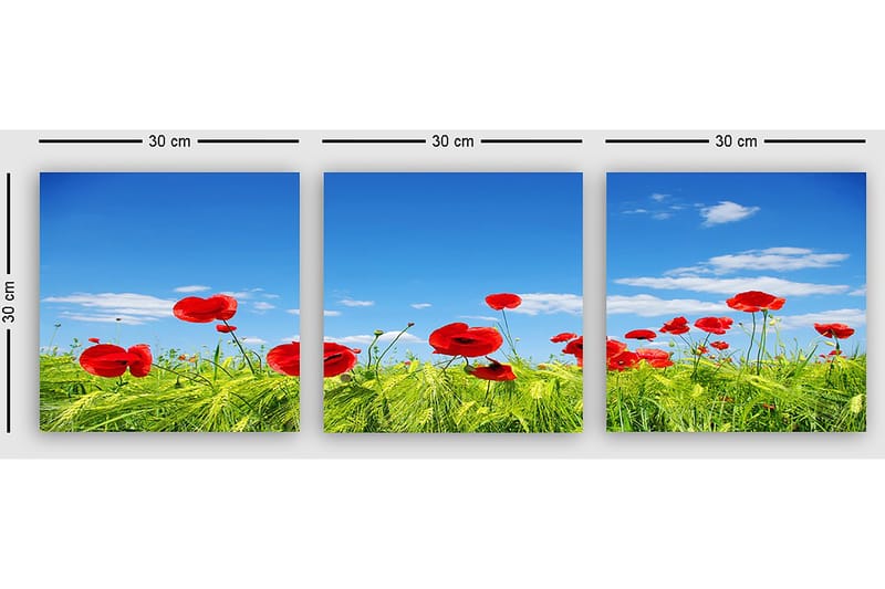 Dekorativ Canvastavla 3-Delar 30x30 cm - Flerfärgad - Inredning & dekor - Tavlor & konst - Canvastavla