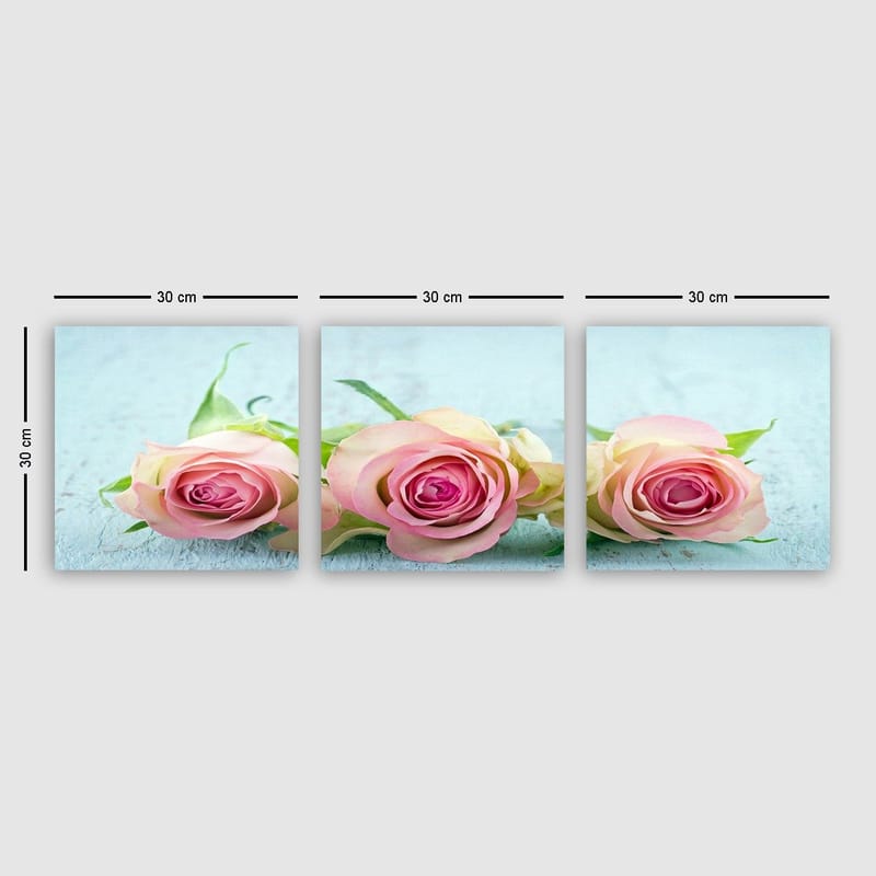 Dekorativ Canvastavla 3-Delar 30x30 cm, Flerfärgad