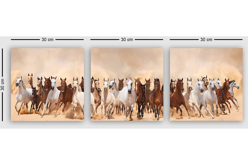 Dekorativ Canvastavla 3-Delar 30x30 cm - Flerfärgad - Inredning & dekor - Tavlor & konst - Canvastavla