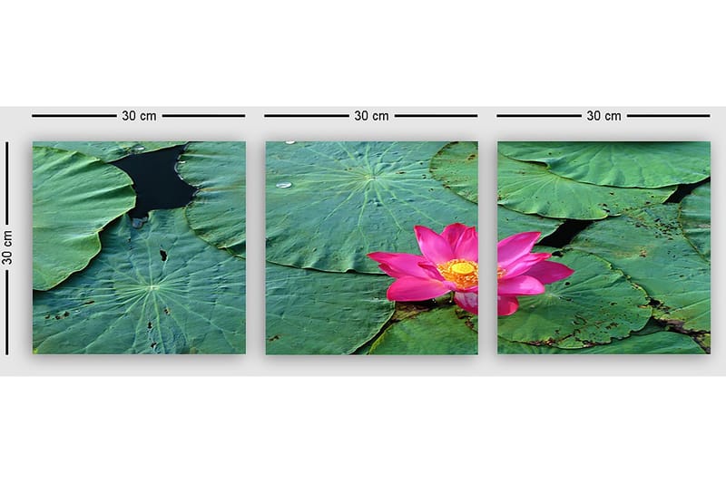 Dekorativ Canvastavla 3-Delar 30x30 cm - Flerfärgad - Inredning & dekor - Tavlor & konst - Canvastavla