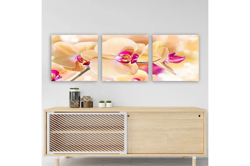 Dekorativ Canvastavla 3-Delar 30x30 cm, Flerfärgad