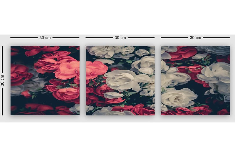 Dekorativ Canvastavla 3-Delar 30x30 cm - Flerfärgad - Inredning & dekor - Tavlor & konst - Canvastavla