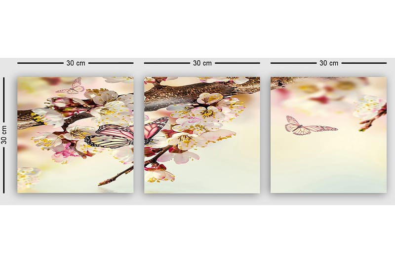 Dekorativ Canvastavla 3-Delar 30x30 cm - Flerfärgad - Inredning & dekor - Tavlor & konst - Canvastavla