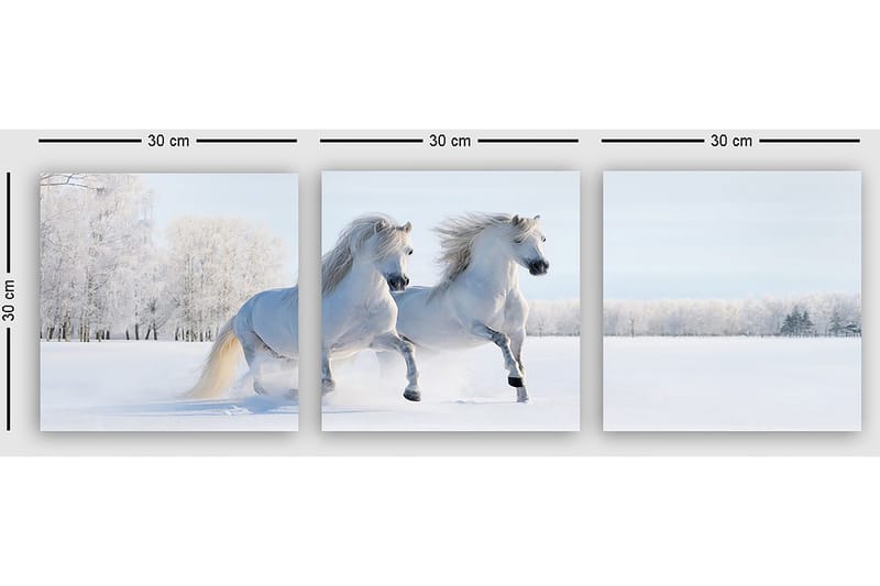 Dekorativ Canvastavla 3-Delar 30x30 cm - Flerfärgad - Inredning & dekor - Tavlor & konst - Canvastavla