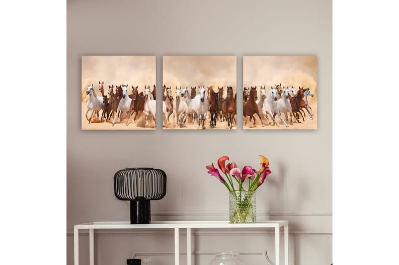 Dekorativ Canvastavla 3-Delar 30x30 cm, Flerfärgad