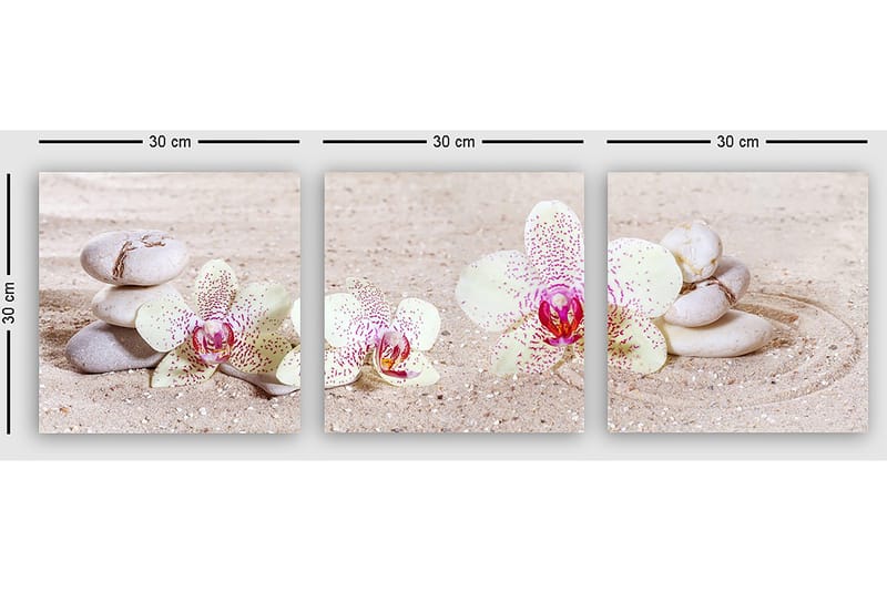 Dekorativ Canvastavla 3-Delar 30x30 cm - Flerfärgad - Inredning & dekor - Tavlor & konst - Canvastavla