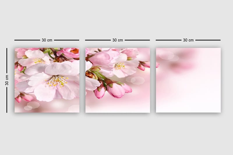 Dekorativ Canvastavla 3-Delar 30x30 cm - Flerfärgad - Inredning & dekor - Tavlor & konst - Canvastavla