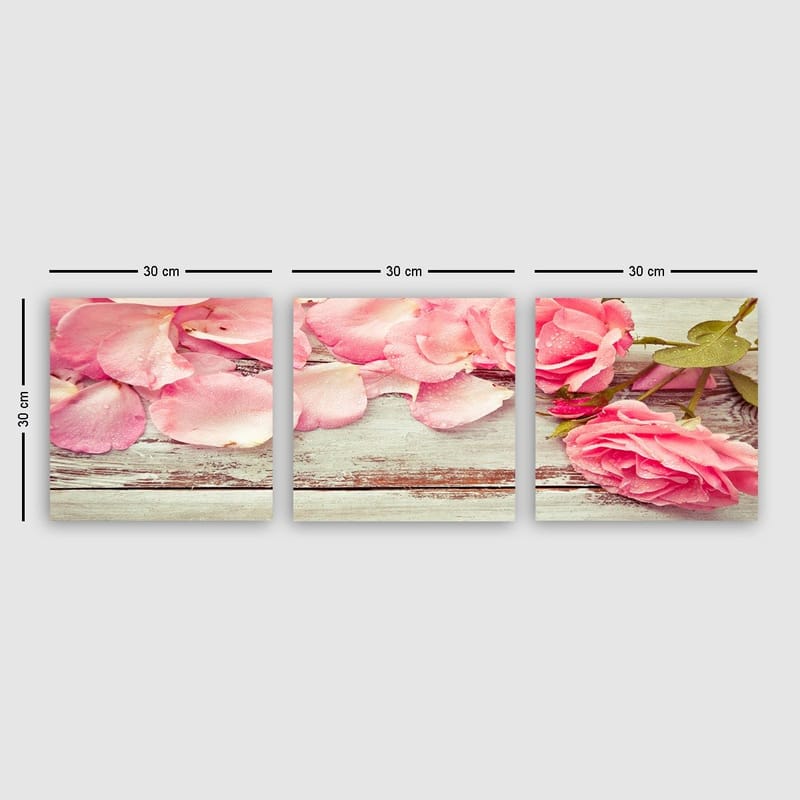 Dekorativ Canvastavla 3-Delar 30x30 cm, Flerfärgad