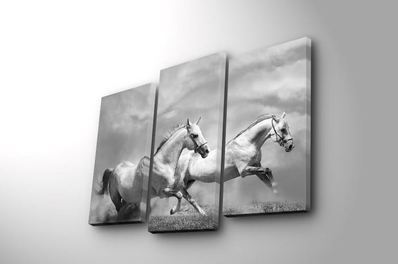 DEKORATIV CANVASTAVLA 3-Delar 45x20 cm Flerfärgad - Inredning & dekor - Tavlor & konst - Canvastavla