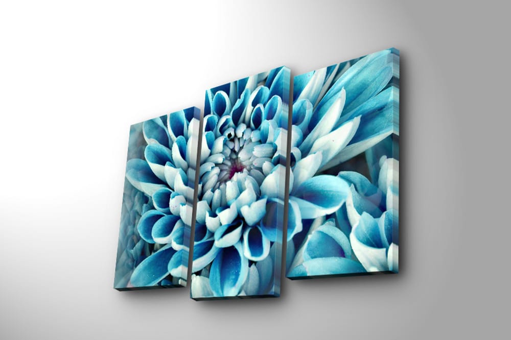 DEKORATIV CANVASTAVLA 3-Delar 45x20 cm Flerfärgad - Inredning & dekor - Tavlor & konst - Canvastavla