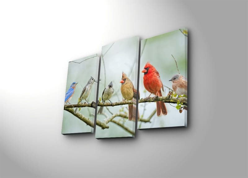 Dekorativ Canvastavla 3-Delar 45x20 cm - Flerfärgad - Inredning & dekor - Tavlor & konst - Canvastavla