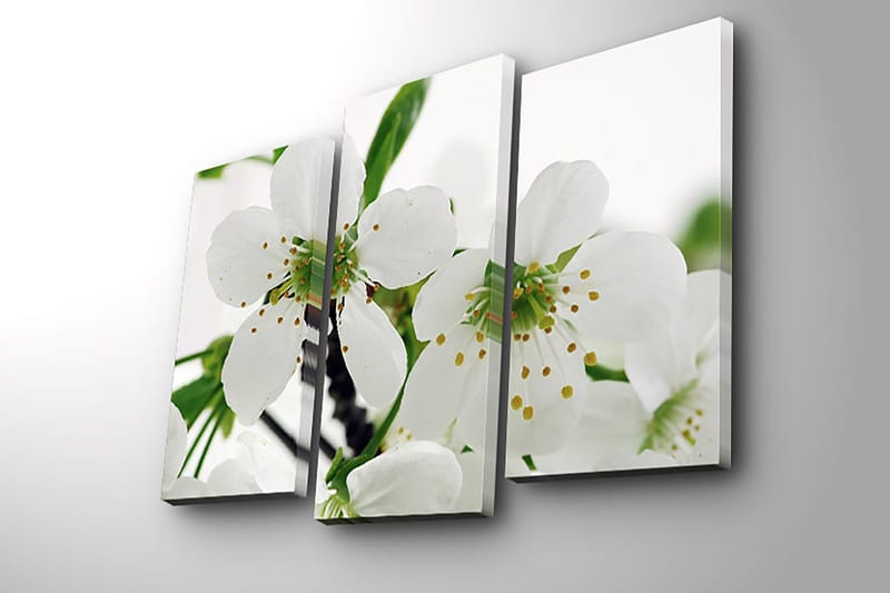 Dekorativ Canvastavla 3-Delar 45x20 cm - Flerfärgad - Inredning & dekor - Tavlor & konst - Canvastavla