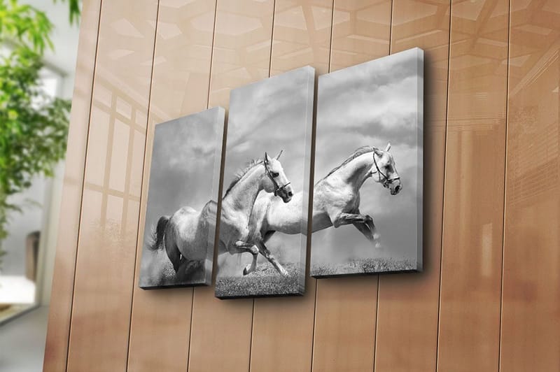 Dekorativ Canvastavla 3-Delar 45x20 cm - Flerfärgad - Inredning & dekor - Tavlor & konst - Canvastavla