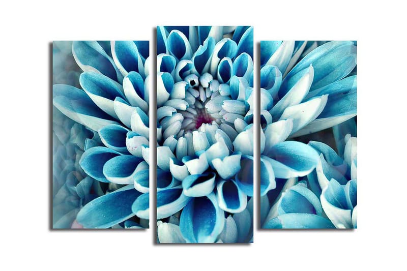 Dekorativ Canvastavla 3-Delar 45x20 cm, Flerfärgad