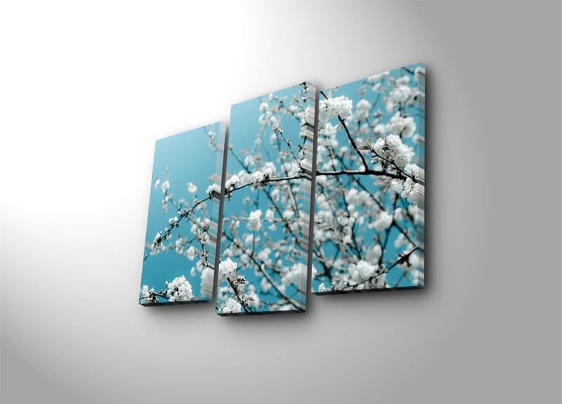 Dekorativ Canvastavla 3-Delar 45x20 cm, Flerfärgad