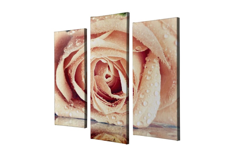 Dekorativ Canvastavla 3-Delar 45x20 cm - Flerfärgad - Inredning & dekor - Tavlor & konst - Canvastavla