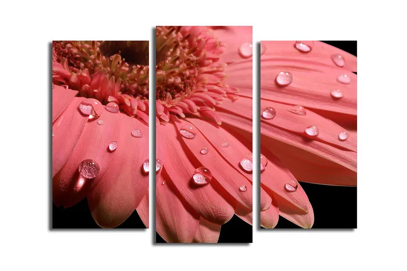 Dekorativ Canvastavla 3-Delar 45x20 cm, Flerfärgad