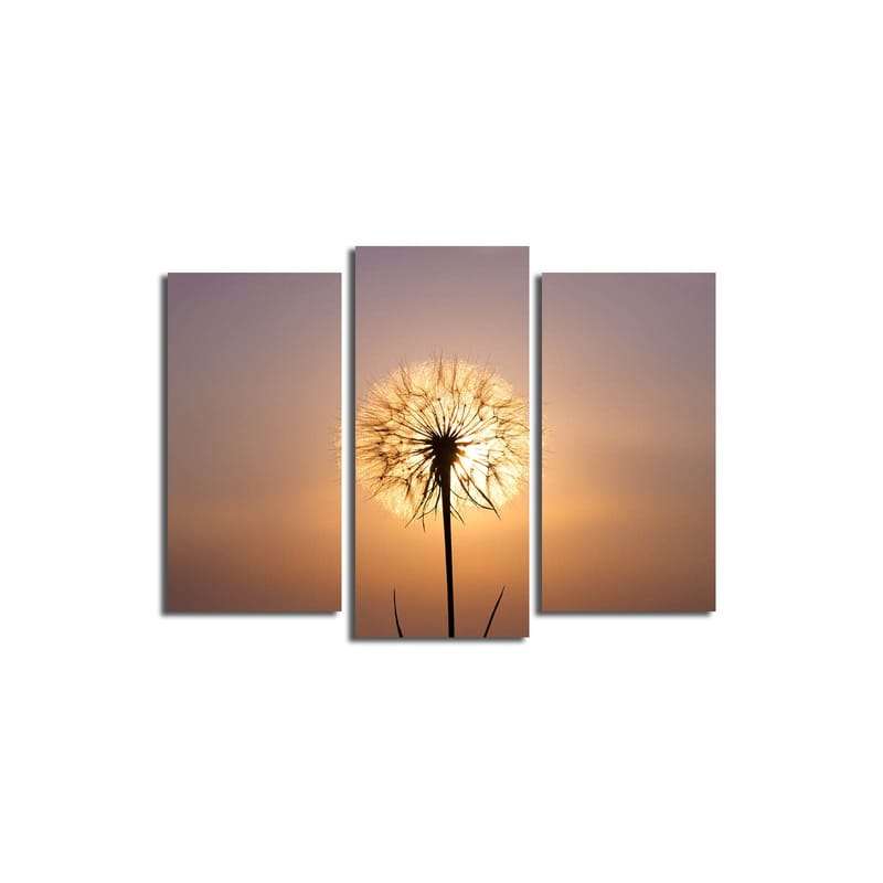 Dekorativ Canvastavla 3-Delar 45x20 cm - Flerfärgad - Inredning & dekor - Tavlor & konst - Canvastavla