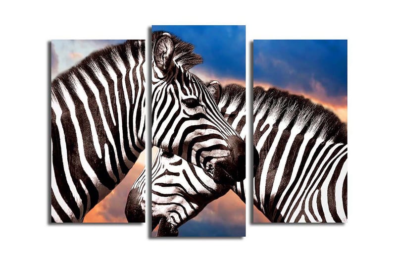 Dekorativ Canvastavla 3-Delar 45x20 cm - Flerfärgad - Inredning & dekor - Tavlor & konst - Canvastavla