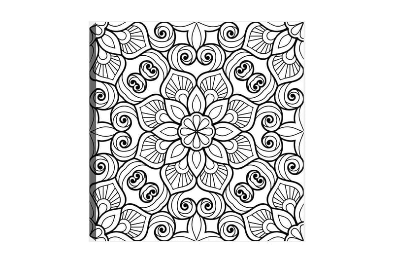 Dekorativ Canvastavla 30x30 cm, Vit|Svart