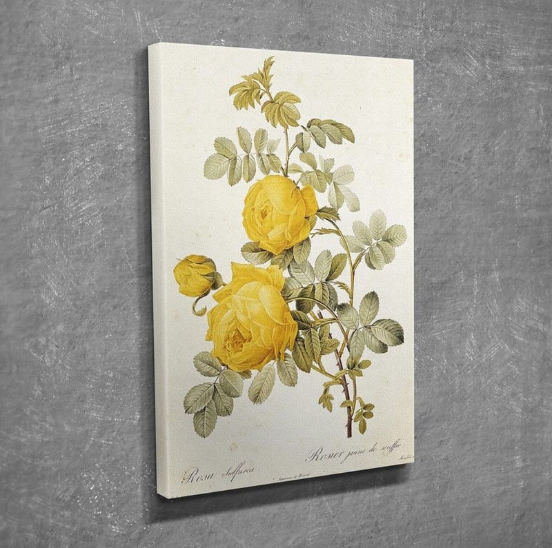 Dekorativ Canvastavla 30x40 cm - Flerfärgad - Inredning & dekor - Tavlor & konst - Canvastavla