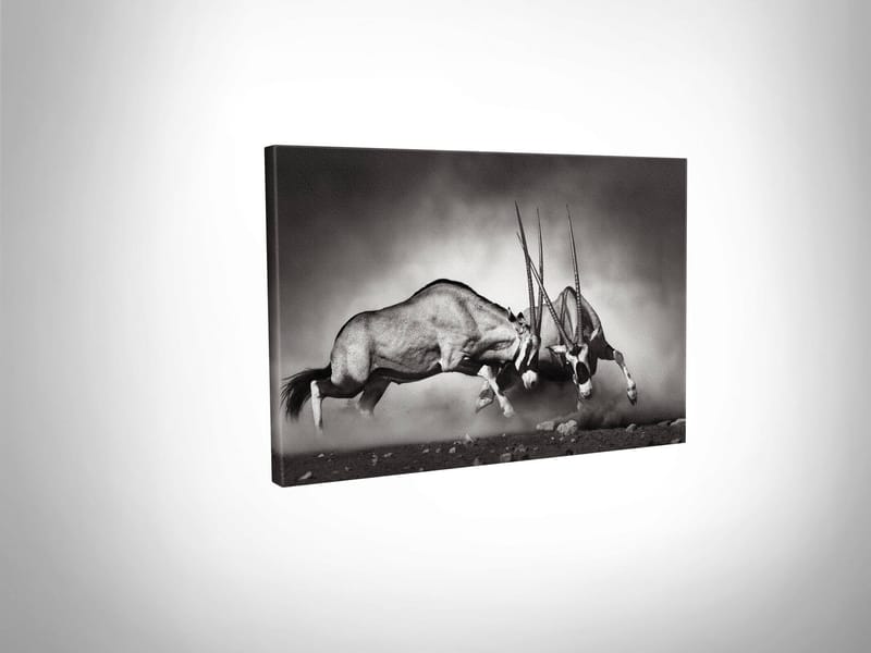 DEKORATIV CANVASTAVLA 30x40 cm Flerf�ärgad - Inredning & dekor - Tavlor & konst - Canvastavla