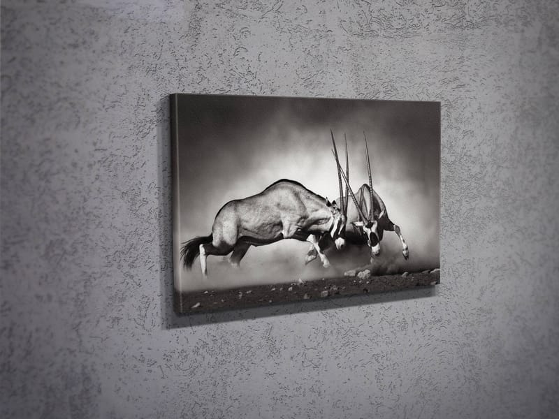DEKORATIV CANVASTAVLA 30x40 cm Flerfärgad - Inredning & dekor - Tavlor & konst - Canvastavla