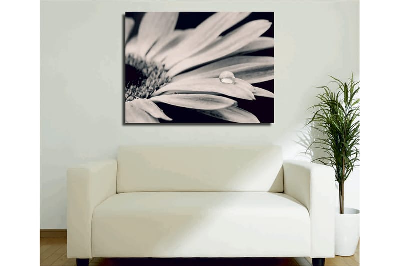 DEKORATIV CANVASTAVLA 30x40 cm Flerfärgad - Inredning & dekor - Tavlor & konst - Canvastavla