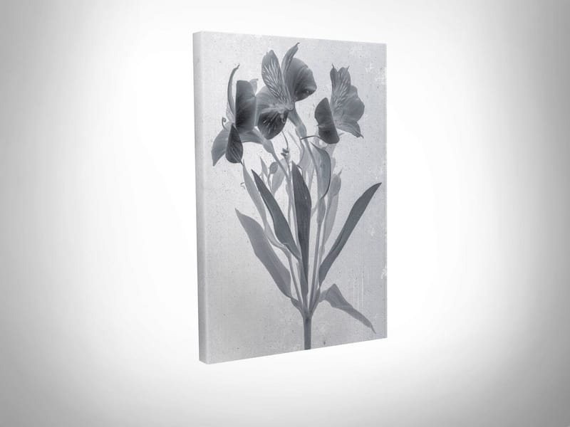 DEKORATIV CANVASTAVLA 30x40 cm Flerfärgad - Inredning & dekor - Tavlor & konst - Canvastavla