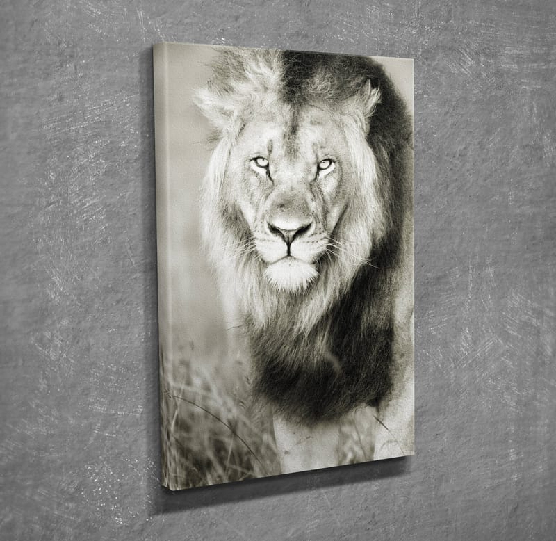 Dekorativ Canvastavla 30x40 cm - Flerfärgad - Inredning & dekor - Tavlor & konst - Canvastavla