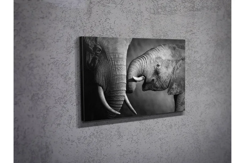 Dekorativ Canvastavla 30x40 cm - Flerfärgad - Inredning & dekor - Tavlor & konst - Canvastavla