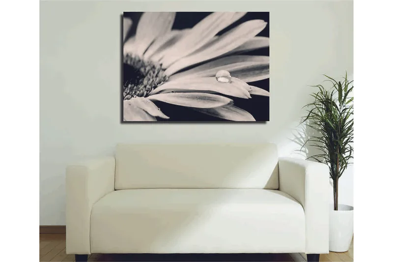 Dekorativ Canvastavla 30x40 cm - Flerfärgad - Inredning & dekor - Tavlor & konst - Canvastavla